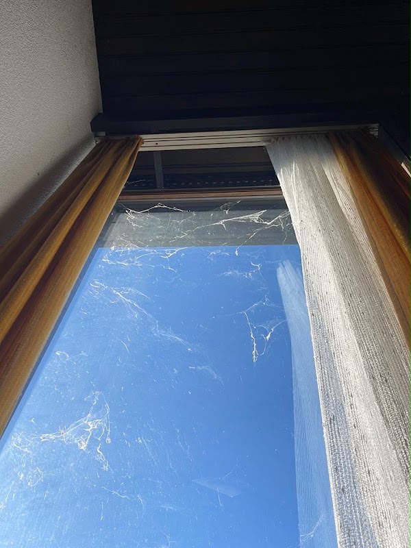 Fensterreinigung – Spinnweben entfernt – schmutzig