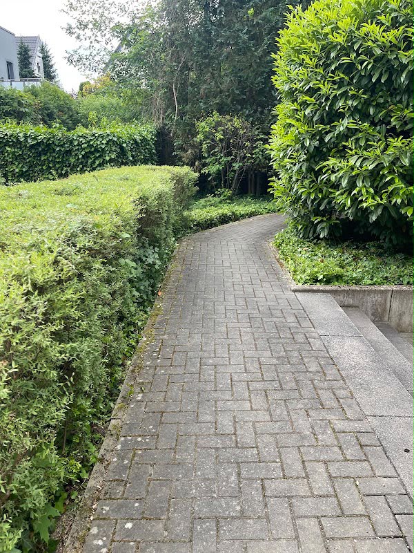 Gartenpflege – Heckenschnitt & Wege – nachher